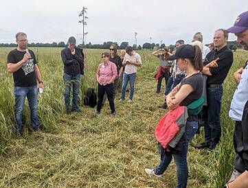 Henning Rehren erläutert sein Agroforstsystem