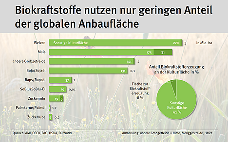 Anteil Biokraftstoffe an der Kulturfläche