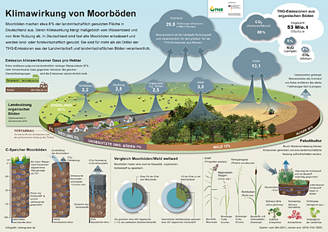 Die neue Infografik zur Klimawirkung von Moorböden steht auf mediathek.fnr.de zum Download zur Verfügung. Es gibt sie auch als Poster.