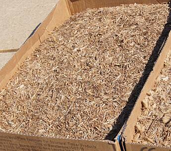 Einblasdämmstoff aus Rohrkolben