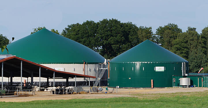Biogas vermehrt aus Wirtschaftsdüngern erzeugen: Biogasanlagen können dafür wieder Fördermittel bekommen.