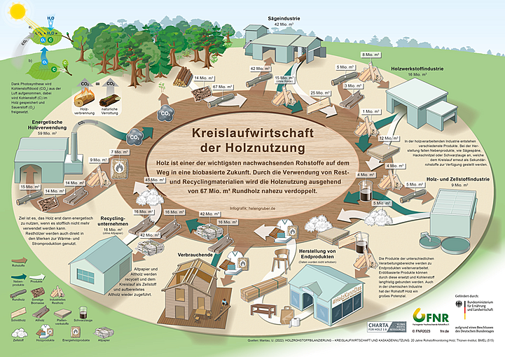 Die Grafik zur Kreislaufwirtschaft mit Holz steht in der Mediathek zum Download bereit.