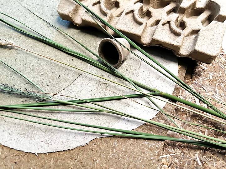 Die Fasern aus Moorpflanzen lassen sich zu Werkstoffen und Verpackungen verarbeiten