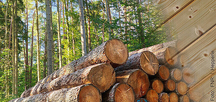 Bundesplattform Wald- und Holzforschung – Vernetzung aller Akteure