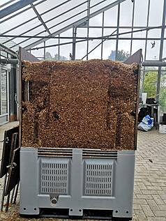 Kompostierung von Rohrkolbenhäckseln im Versuchsmaßstab in einer 1,8 m³ Kompostierungseinheit