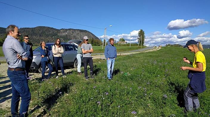 Gleich am ersten Tag könnte ein gut gelungener Zwischenfruchtanbau besichtigt werden.