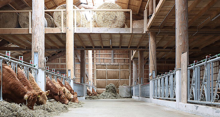 Aufgrund der Verwendung und Bearbeitung regionaler Baustoffe, dem traditionellen Abbund der Bauhölzer und der daraus resultierenden effizienten und nachhaltigen Bauweise des Mutterkuhstalls, die zudem auch noch ein architektonisch ansprechendes landwirtschaftliches Gebäude darstellt, erhlielt der Mutterkuhstall den Sonderpreis Baukultur des Holzbaupreises Niedersachsen 2022.