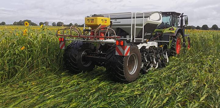 Direktsaat in die Zwischenfrucht