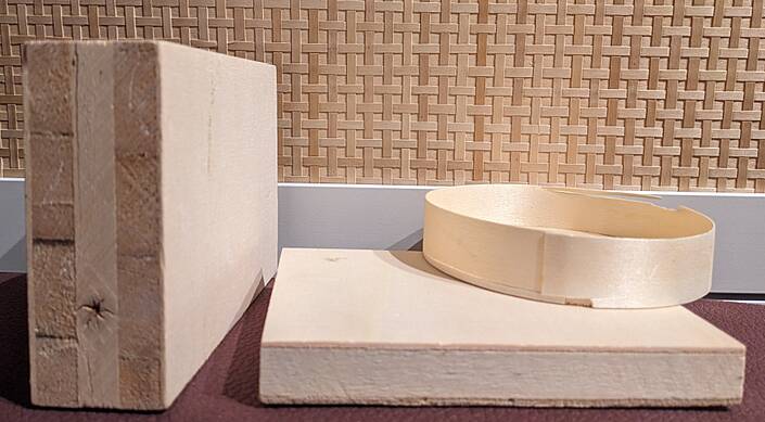 Pappelholz hat Zukunft und Tradition: Nicht nur als Energieträger, sondern auch im Bauwesen, Möbelbau und als Verpackungsmaterial!