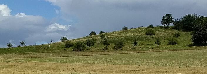 Auf solch einem Standort will ein KlimaFarming-Projektpartner in Kürze einen Versuch mit 100 Trüffel-beimpften Haselsträuchern starten.