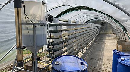 Oberflächenwasser an Biogasanlagen sollen mittels Algen behandelt werden.