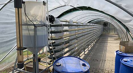 Oberflächenwasser an Biogasanlagen sollen mittels Algen behandelt werden.