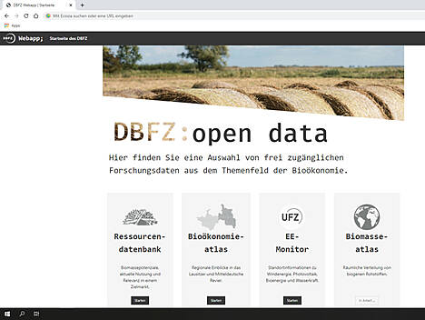 Screenshot: die Portalseite zu den Bioenergiedaten: webapp.dbfz.de