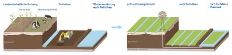 Aktuelle Landnutzungen auf degradiertem Hochmoor in Niedersachsen (links) und Sphagnum Farming nach Wiedervernässung (rechts) [5 verändert]