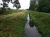 Image 24