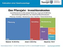 Kosten einer Haselnussanlage (Quelle: https://bio-thueringen.de/wp-content/uploads/2024/10/20240308_Haselnusstagung-Gruenberg-BWL-Hasel.pdf
