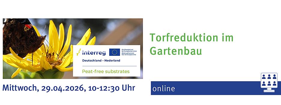 Foto Nachhaltigkeitsworkshop im Projekt PeatFree