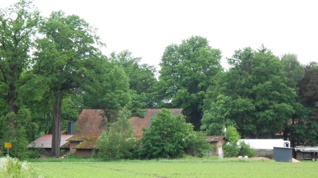 Heizzentrale am Dorfrand mit Wärmespeicher